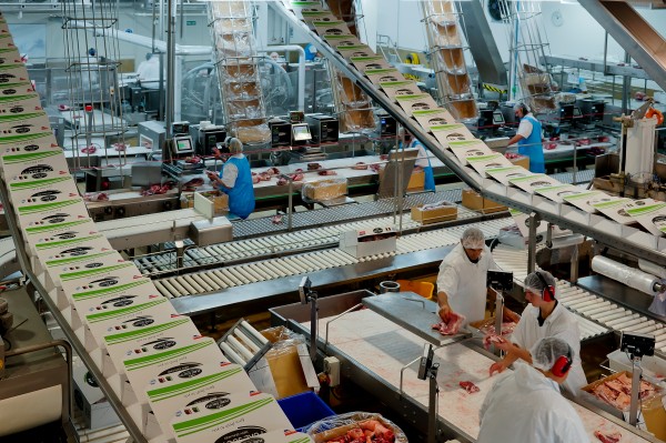 Кооперативный сектор в Новой Зеландии продолжает расти Кооперативный сектор в Новой Зеландии продолжает расти